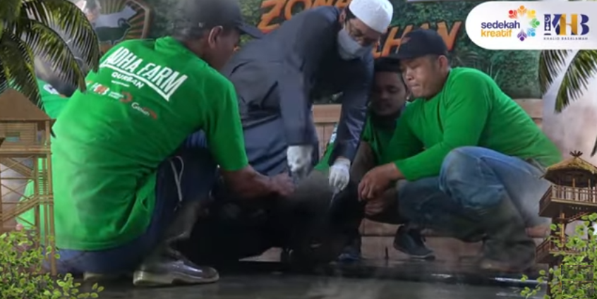 Kurban Kambing atau Sapi Mana yang Lebih Afdhol?